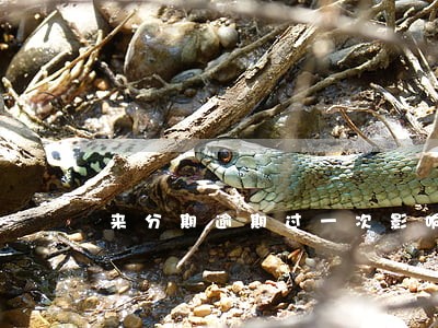 来分期逾期过一次影响信用吗 来分期逾期过一次影响信用吗