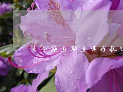 来分期逾期过年催收吗