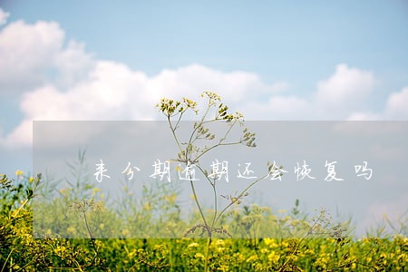 来分期逾期还会恢复吗 来分期逾期还会恢复吗