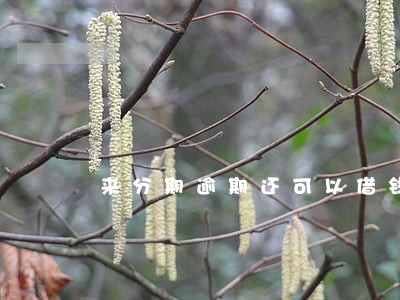 来分期逾期还可以借钱吗 来分期逾期还可以借钱吗