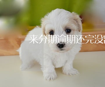 来分期逾期还完没额度 来分期逾期还完没额度