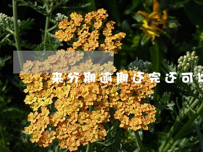 来分期逾期还完还可以借钱吗 来分期逾期还完还可以借钱吗
