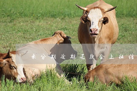 来分期逾期还款会上征信吗 来分期逾期还款会上征信吗