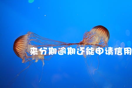 来分期逾期还能申请信用卡吗 来分期逾期还能申请信用卡吗