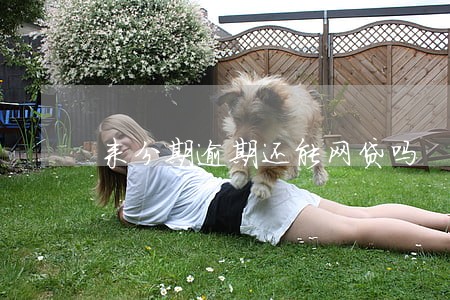 来分期逾期还能网贷吗 来分期逾期还能网贷吗