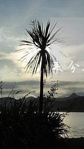 来分期逾期违约了怎么办 来分期逾期违约了怎么办
