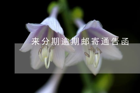来分期逾期邮寄通告函 来分期逾期邮寄通告函