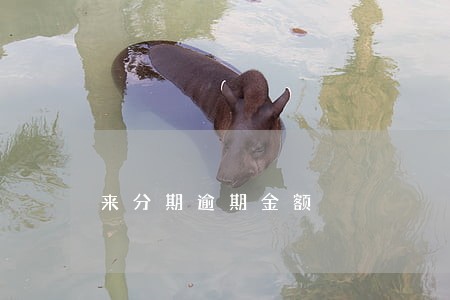来分期逾期金额 来分期逾期金额