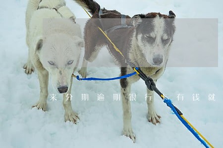 来分期逾期银行卡有钱就扣吗 来分期逾期银行卡有钱就扣吗