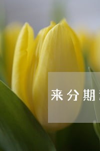 来分期逾期黑户 来分期逾期黑户