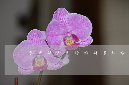 来分期金美信逾期律师给打电话 来分期金美信逾期律师给打电话