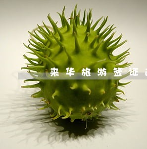 来华旅游签证逾期怎么办 来华旅游签证逾期怎么办