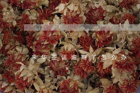 来华签证逾期了怎么办 来华签证逾期了怎么办