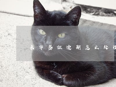 来华签证逾期怎么处理 来华签证逾期怎么处理