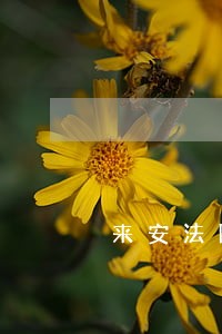 来安法院拍卖公告 来安法院拍卖公告
