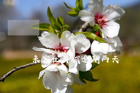 来客优商城逾期两天 来客优商城逾期两天
