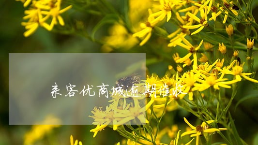 来客优商城逾期催收 来客优商城逾期催收