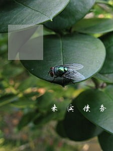来宾债务法律咨询律师怎么样 来宾债务法律咨询律师怎么样