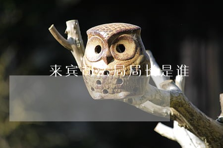 来宾司法局局长是谁 来宾司法局局长是谁
