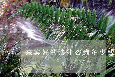 来宾好的法律咨询多少钱