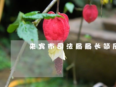 来宾市司法局局长简历