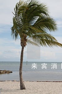 来宾消防支队法律顾问 来宾消防支队法律顾问
