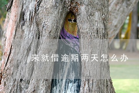 来就借逾期两天怎么办 来就借逾期两天怎么办