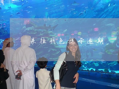 来往钱包提示逾期