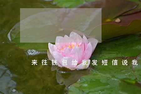 来往钱包给我发短信说我逾期了