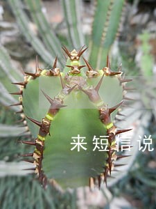 来短信说我逾期 来短信说我逾期