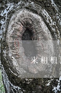 来租机逾期要联系社区 来租机逾期要联系社区