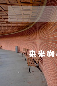 来米伽逾期一天利息是多少 来米伽逾期一天利息是多少