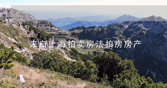 来自上海拍卖房法拍房房产 来自上海拍卖房法拍房房产