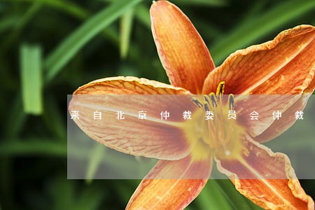 来自北京仲裁委员会仲裁律师 来自北京仲裁委员会仲裁律师