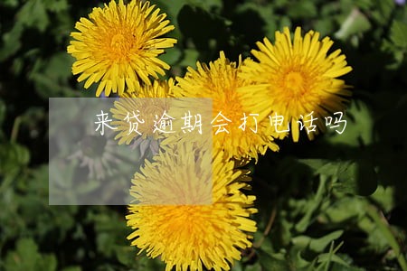 来贷逾期会打电话吗 来贷逾期会打电话吗