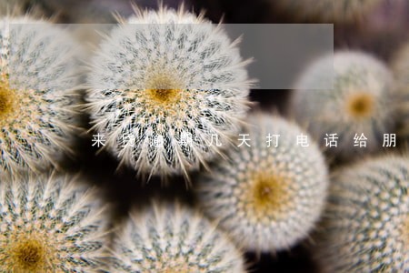 来贷逾期几天打电话给朋友 来贷逾期几天打电话给朋友