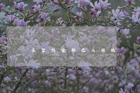 来贷鸭逾期无人催收 来贷鸭逾期无人催收