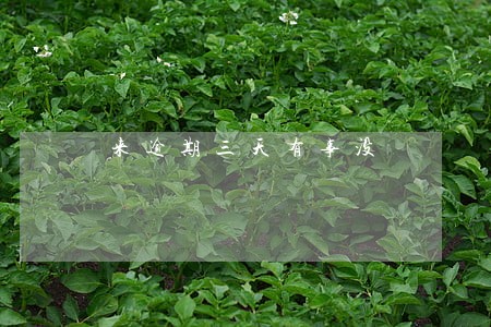 来逾期三天有事没 来逾期三天有事没