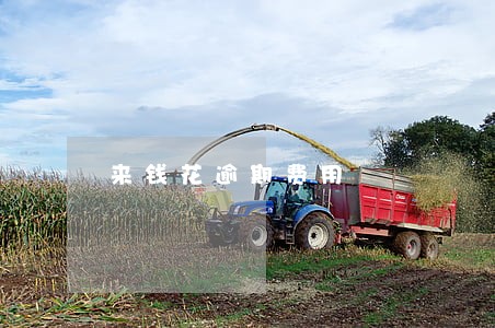 来钱花逾期费用 来钱花逾期费用