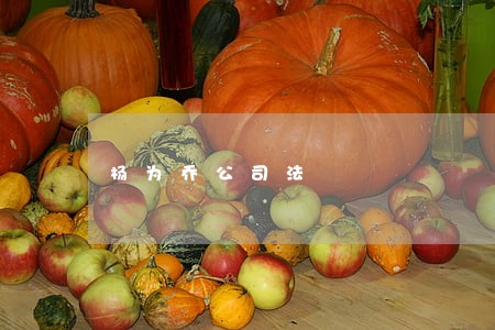 杨为乔公司法 杨为乔公司法