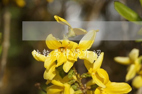杨乾举律师介绍 杨乾举律师介绍