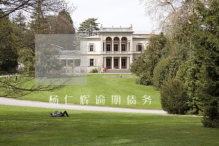 杨仁辉逾期债务