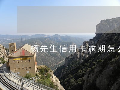 杨先生信用卡逾期怎么上岸 杨先生信用卡逾期怎么上岸