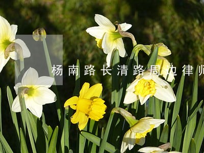 杨南路长清路周边律师事务所 杨南路长清路周边律师事务所