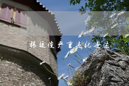 杨廷俊严重违纪违法 杨廷俊严重违纪违法