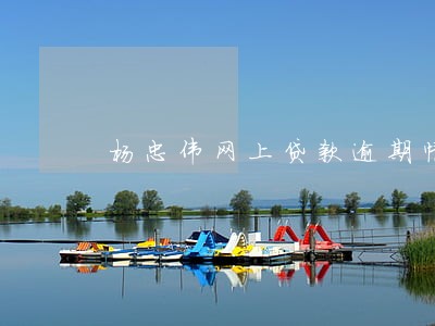 杨忠伟网上贷款逾期情况 杨忠伟网上贷款逾期情况