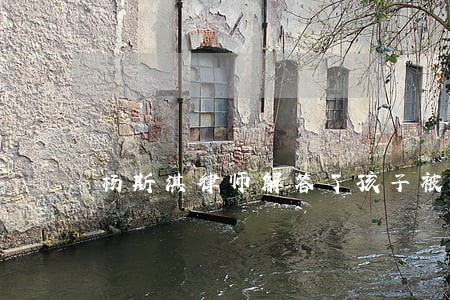 杨斯淇律师解答了孩子被车撞 杨斯淇律师解答了孩子被车撞