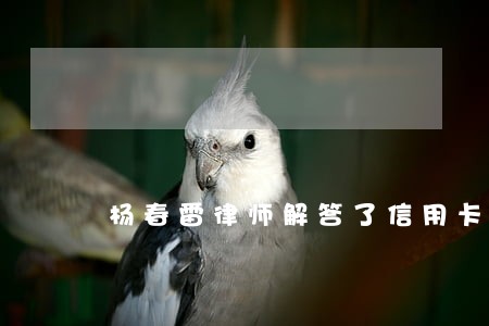 杨春雷律师解答了信用卡还不上 杨春雷律师解答了信用卡还不上