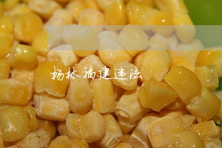 杨林福建违法 杨林福建违法