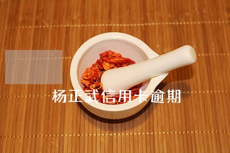 杨正武信用卡逾期